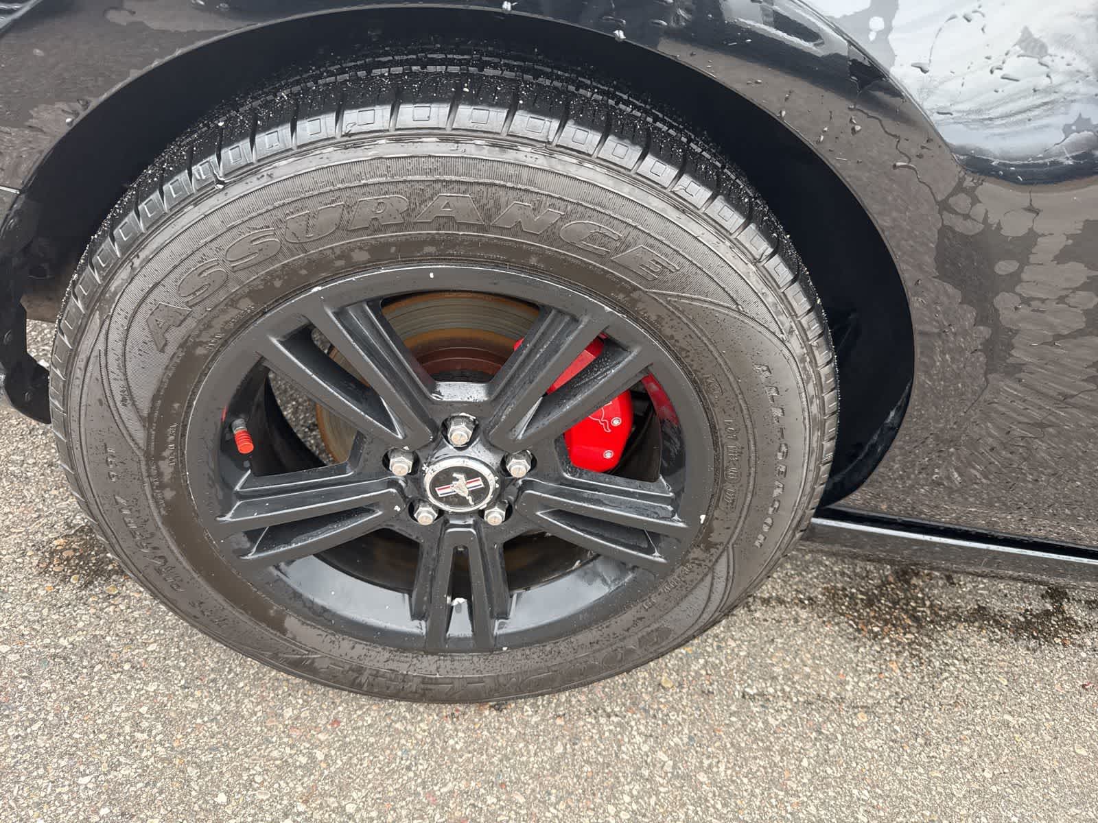 Thumbnail: 2014 Ford Mustang - 11