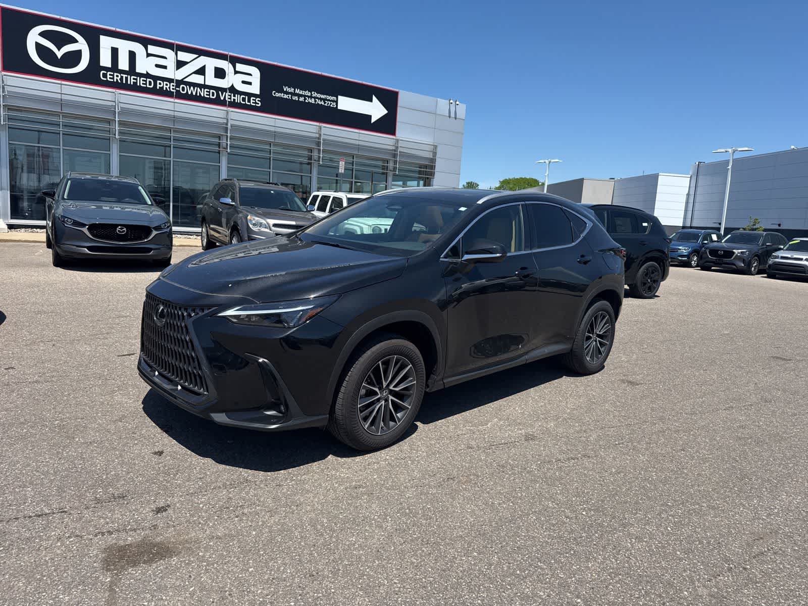 2025 Lexus NX 350 350 AWD's photo
