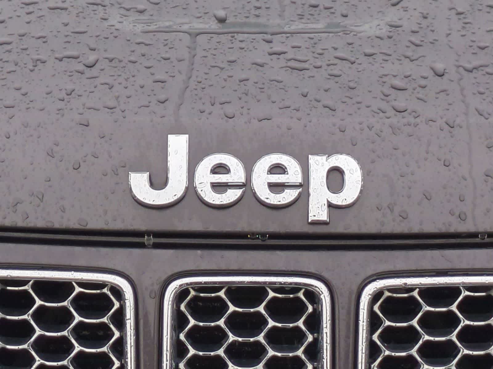 Thumbnail: 2016 Jeep Grand Cherokee - 11