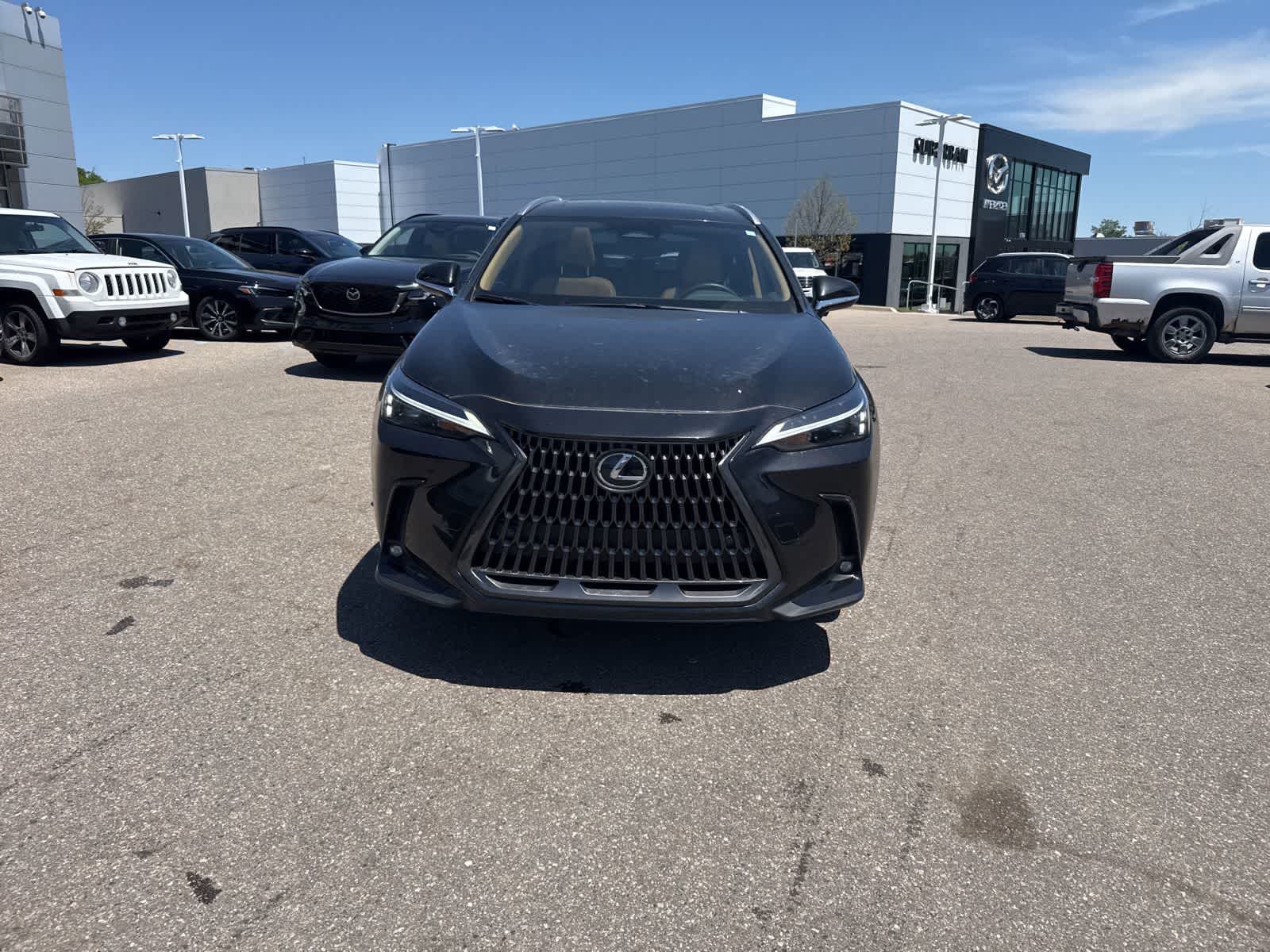 Thumbnail: 2025 Lexus NX - 2