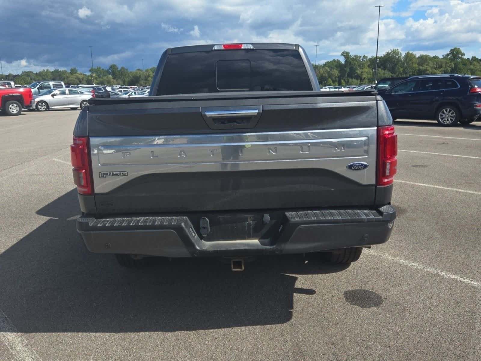 2016 Ford F-150 Platinum photo 3