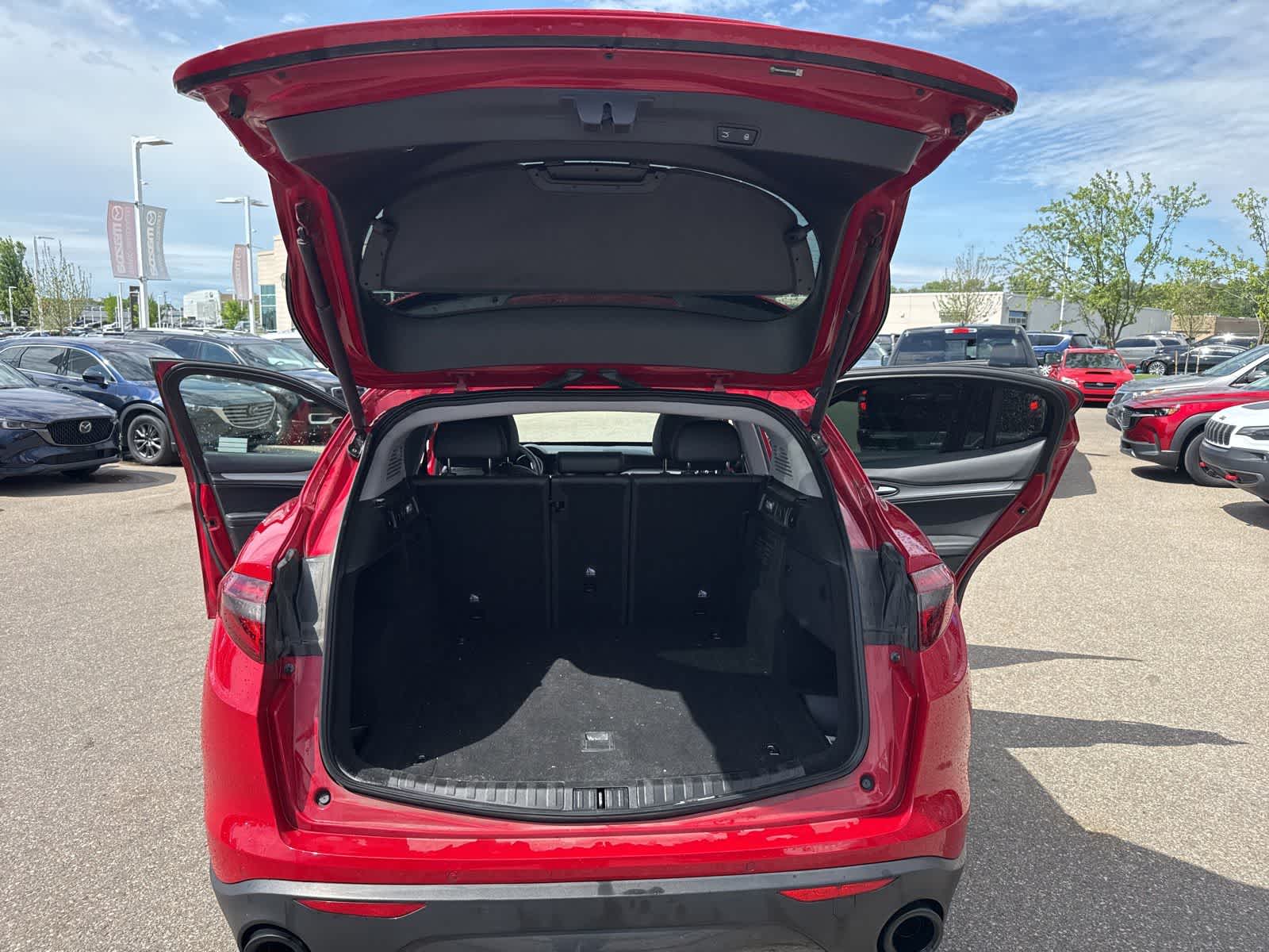 Thumbnail: 2019 Alfa Romeo Stelvio - 22