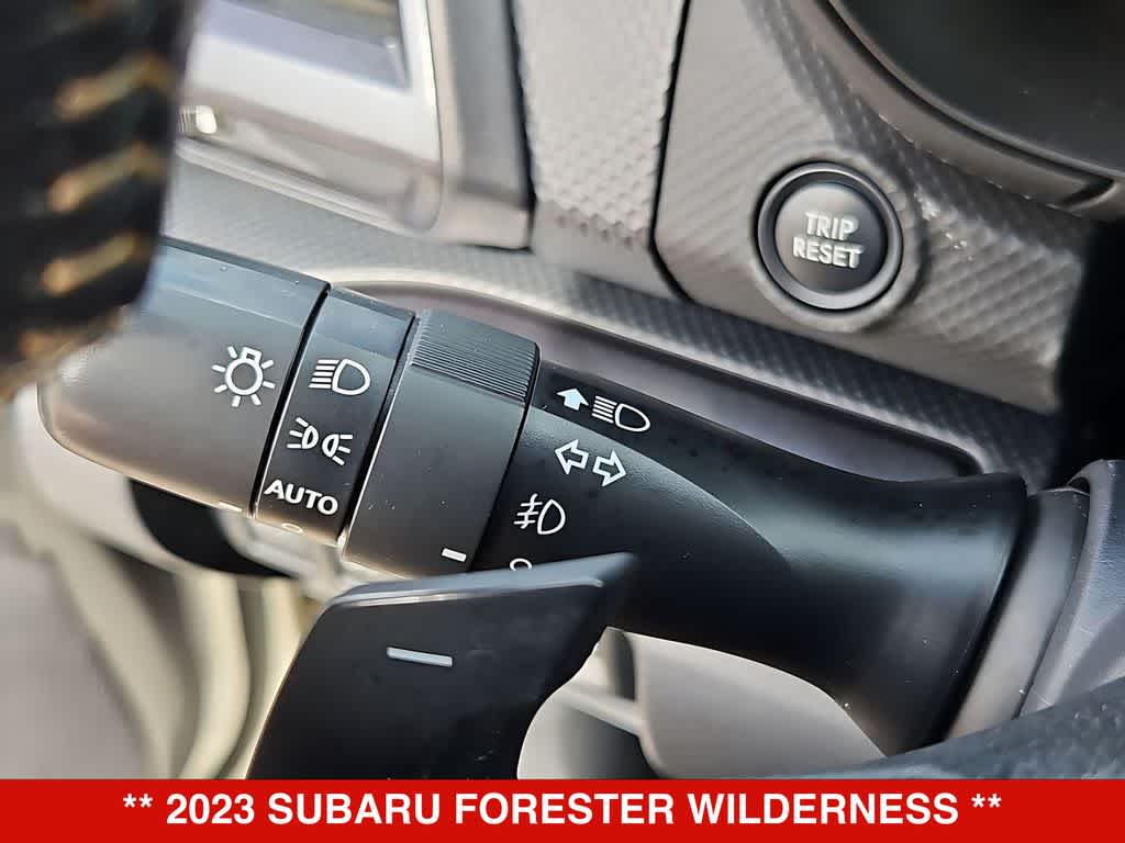 Thumbnail: 2023 Subaru Forester - 29