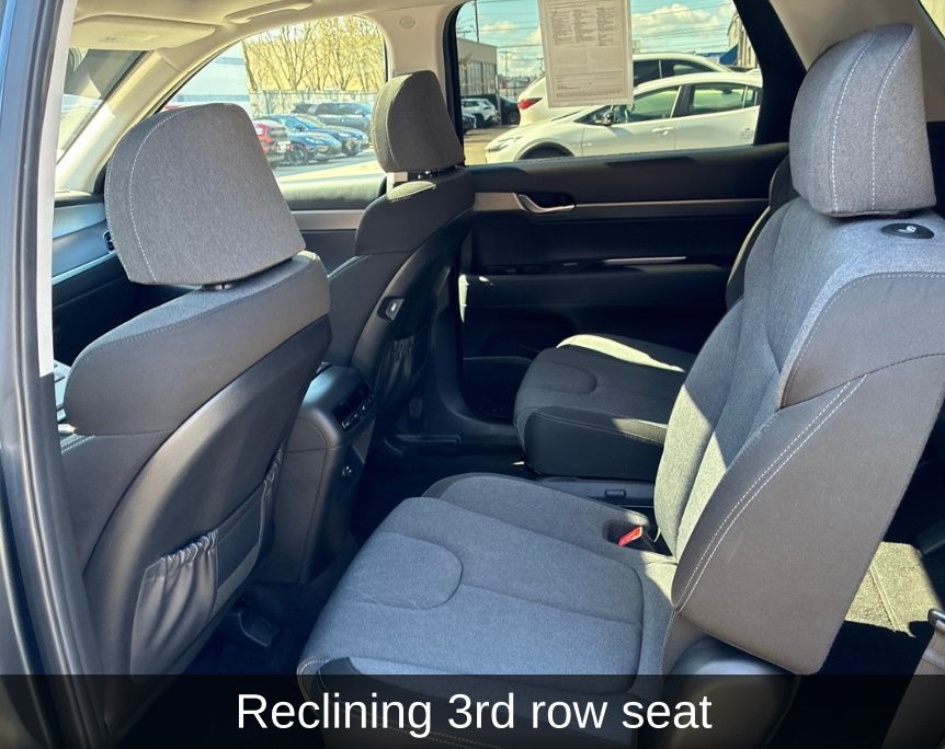 Thumbnail: 2020 Hyundai Palisade - 10