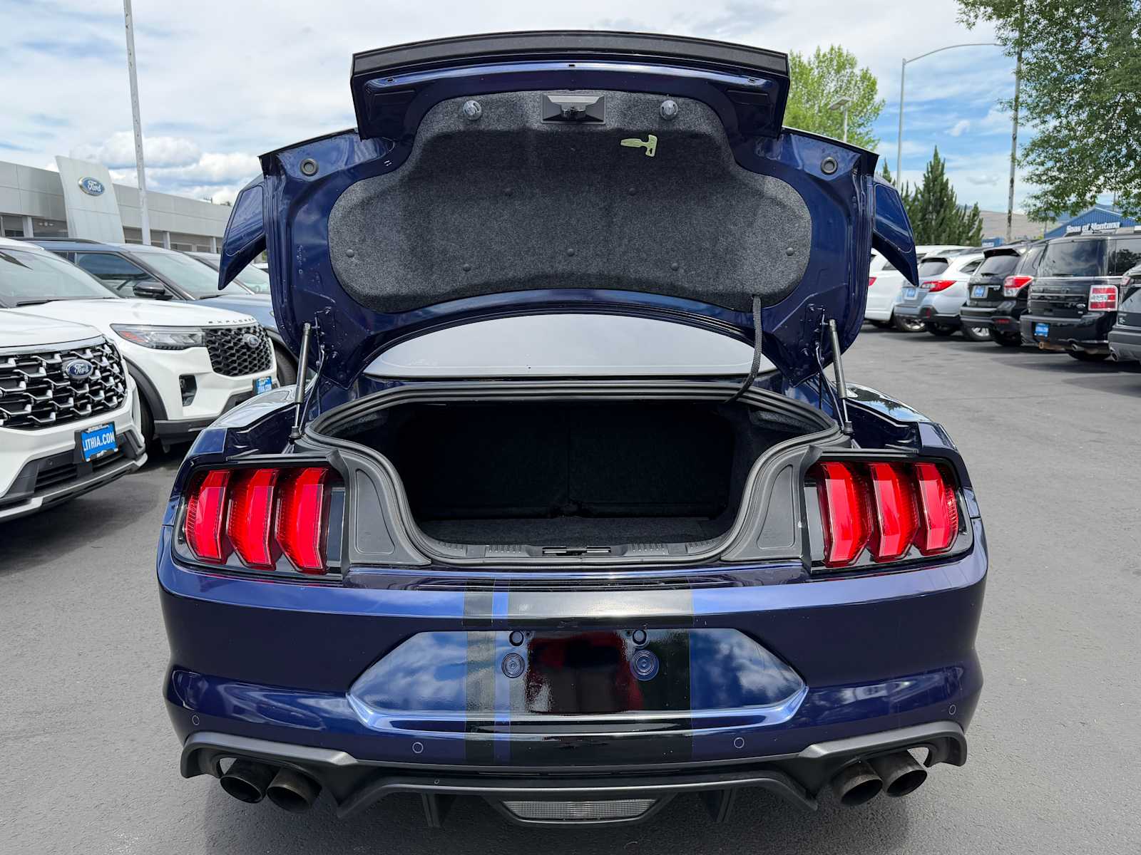 Thumbnail: 2019 Ford Mustang - 9