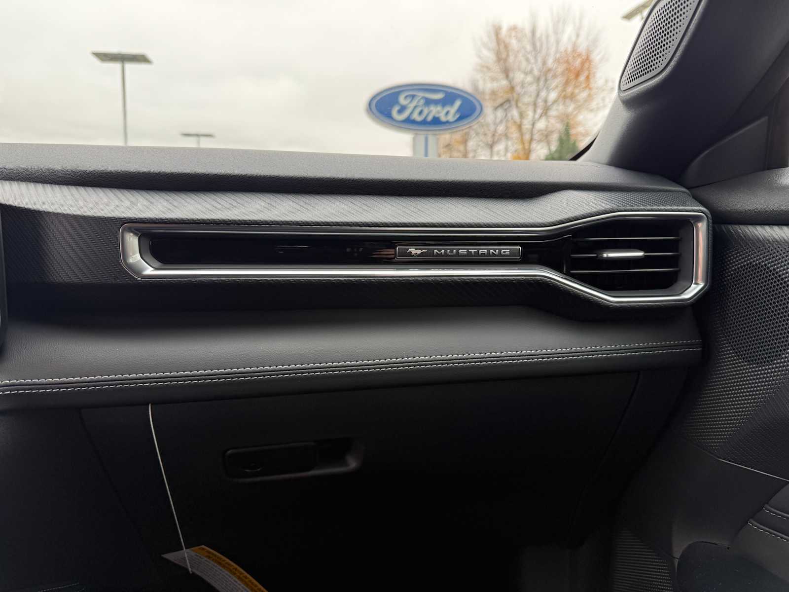 Thumbnail: 2025 Ford Mustang - 24