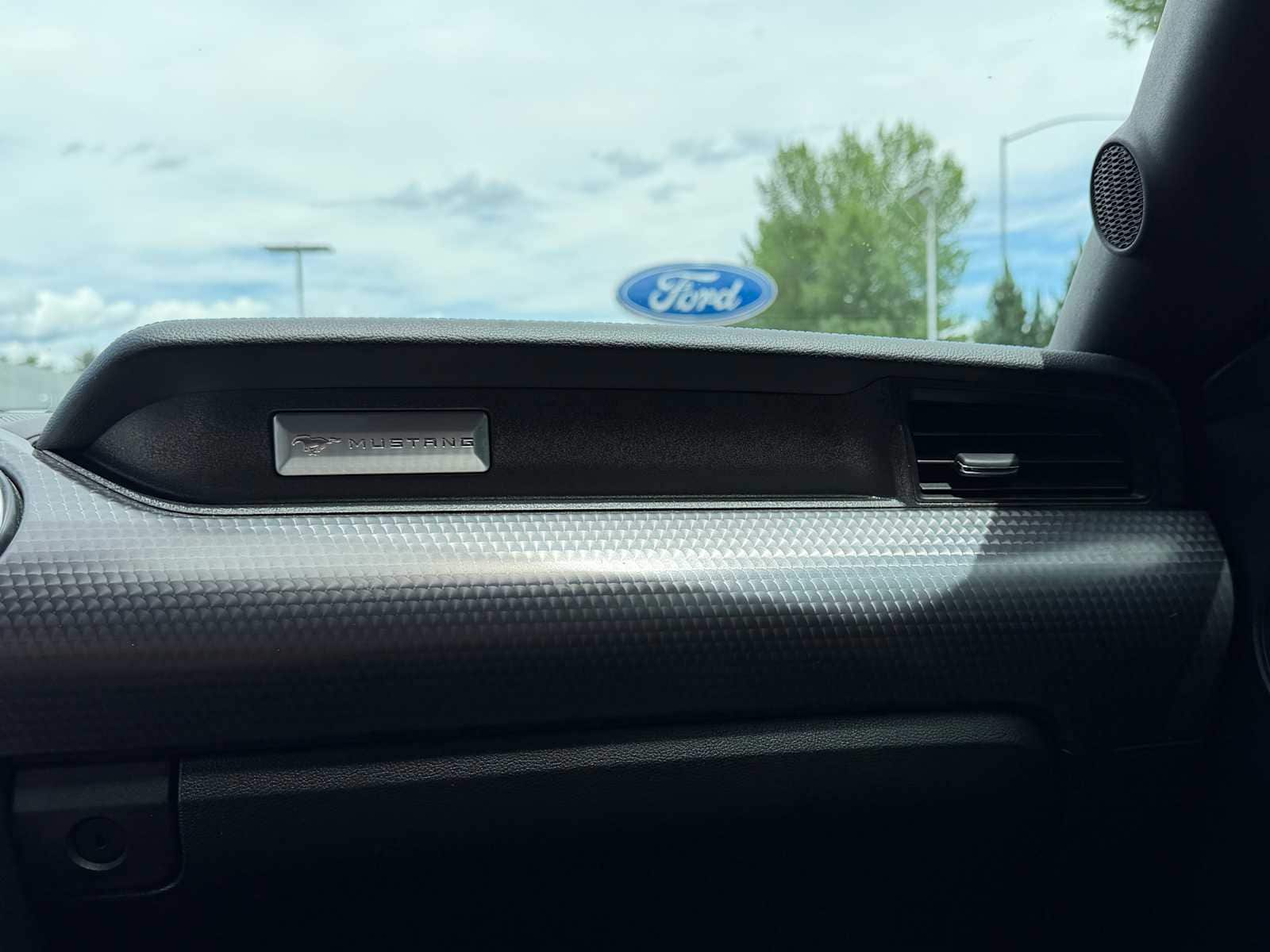 Thumbnail: 2019 Ford Mustang - 25