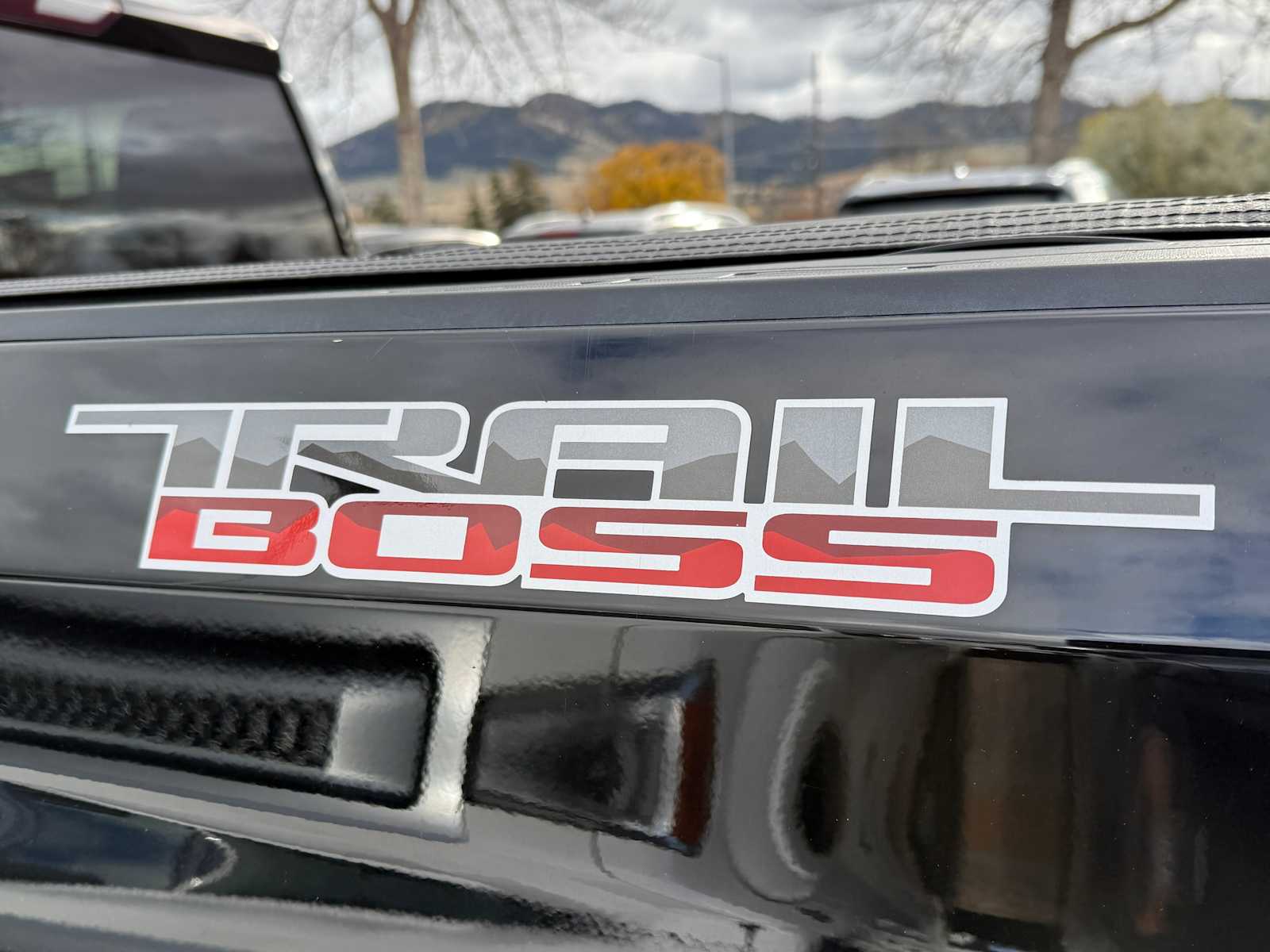 Thumbnail: 2019 Chevrolet Silverado 1500 - 10