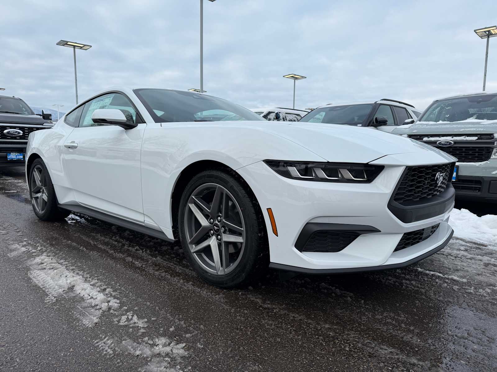 2025 Ford Mustang EcoBoost Premium photo 4