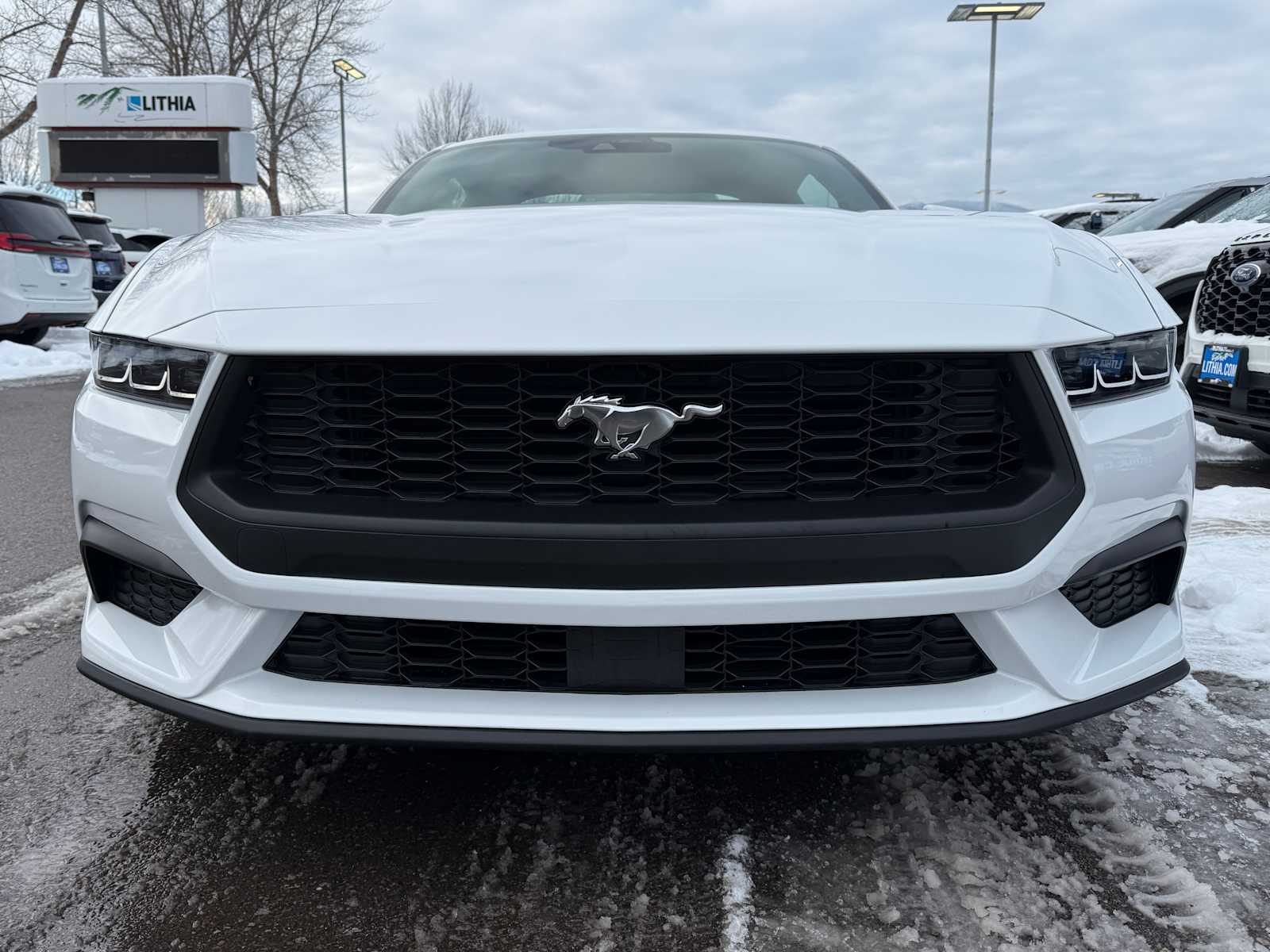 2025 Ford Mustang EcoBoost Premium photo 2
