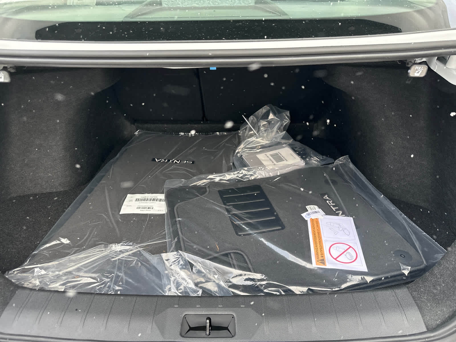 Thumbnail: 2026 Nissan Sentra - 10