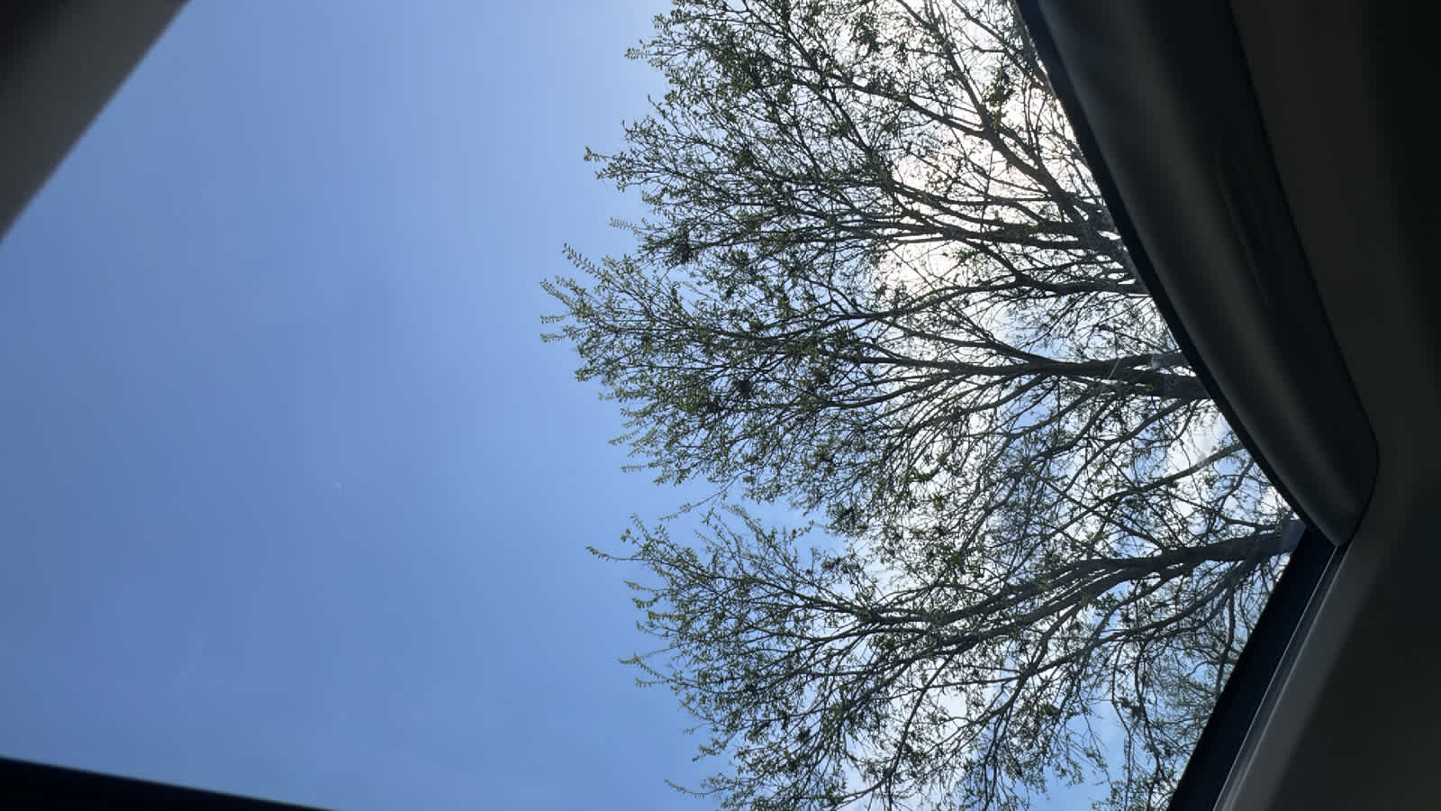 Thumbnail: 2017 Lexus NX - 23