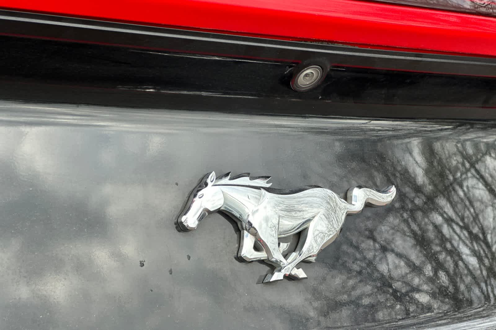 Thumbnail: 2016 Ford Mustang - 13