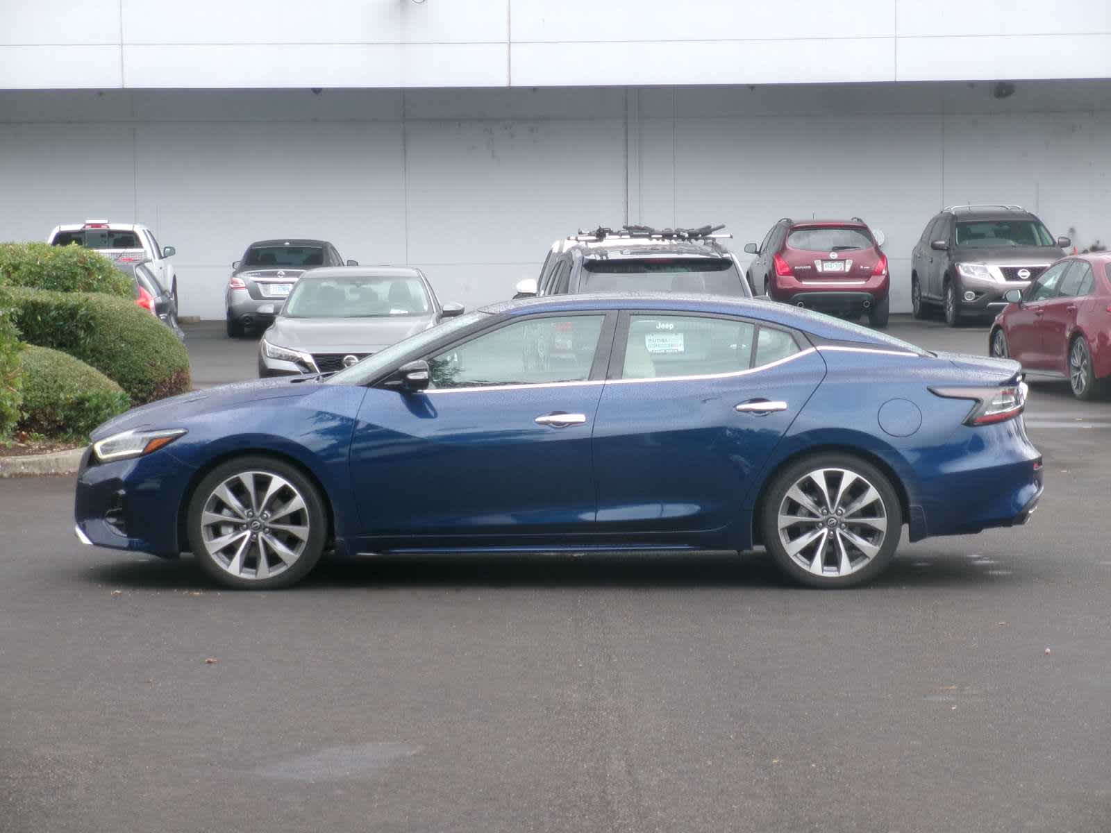 Used 2023 Nissan Maxima Platinum with VIN 1N4AA6FV1PC502098 for sale in Eugene, OR