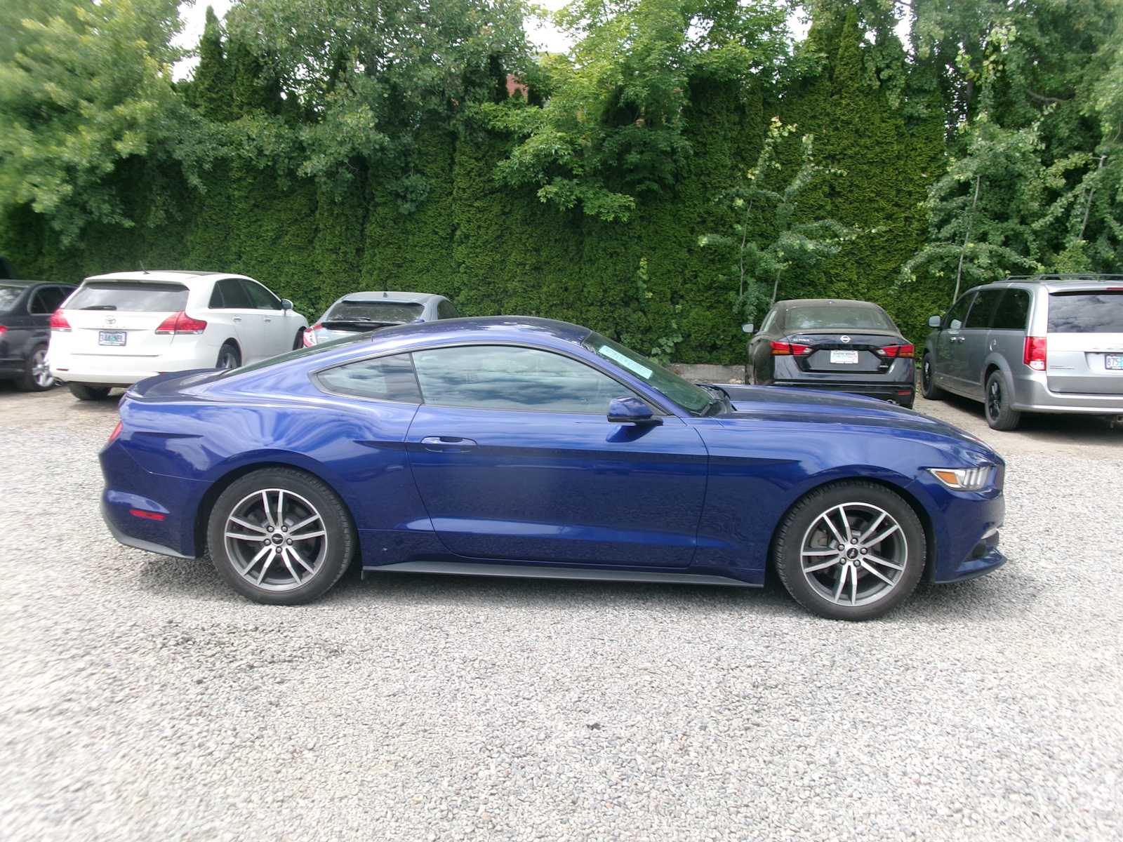 Thumbnail: 2016 Ford Mustang - 6