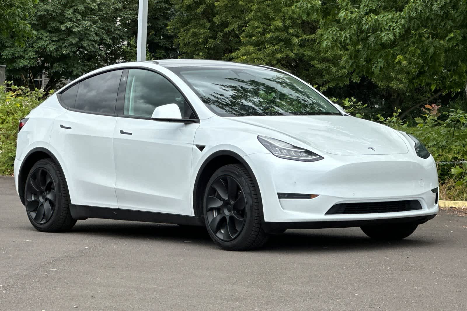 Thumbnail: 2021 Tesla Model Y - 9