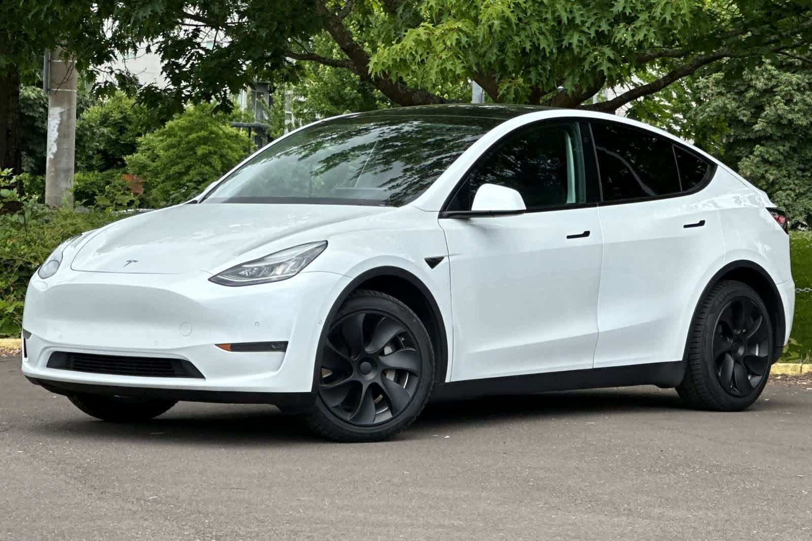 2021 Tesla Model Y Long Range's photo