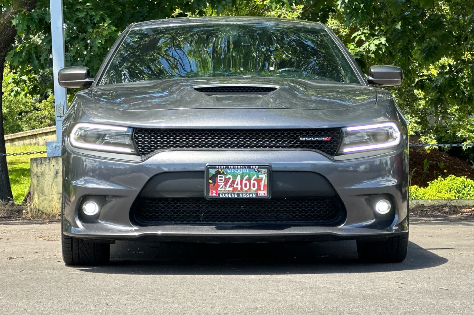 Thumbnail: 2019 Dodge Charger - 10
