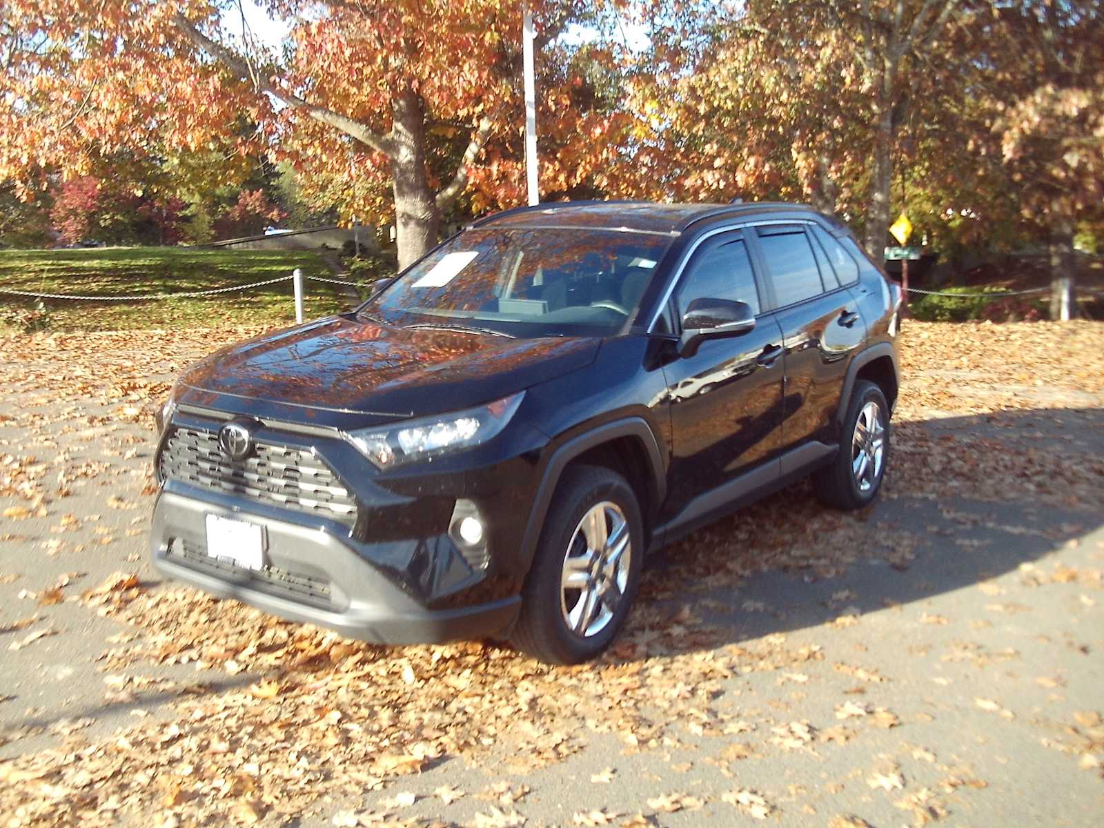 2019 Toyota RAV4