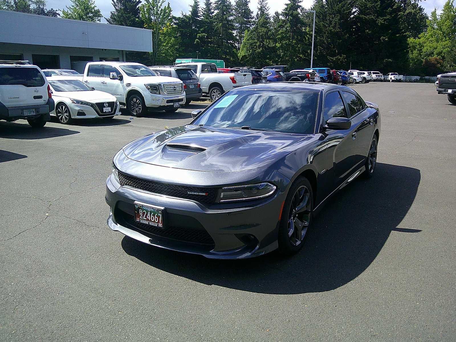2019 Dodge Charger R/T's photo