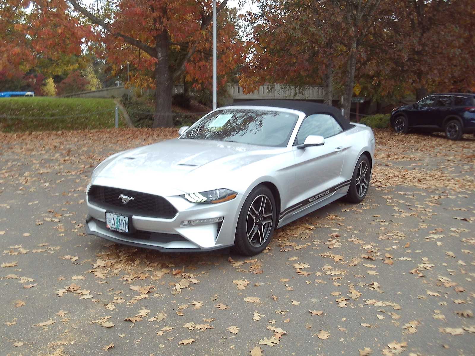 2019 Ford Mustang