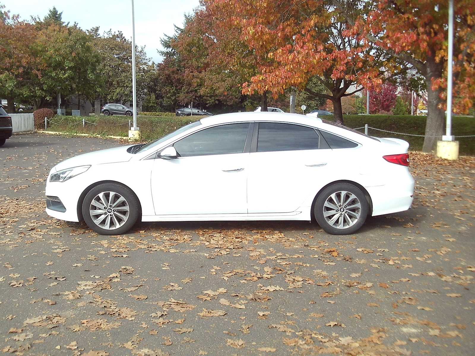 Used 2016 Hyundai Sonata Sport with VIN 5NPE34AF5GH306986 for sale in Eugene, OR