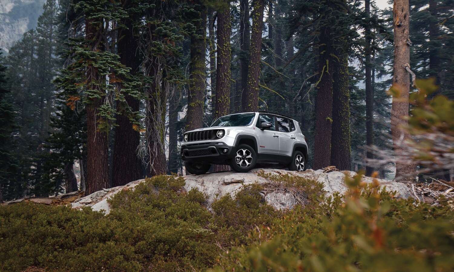 silver Jeep Renegade SUV parked up on a hill surrounded by forest trees