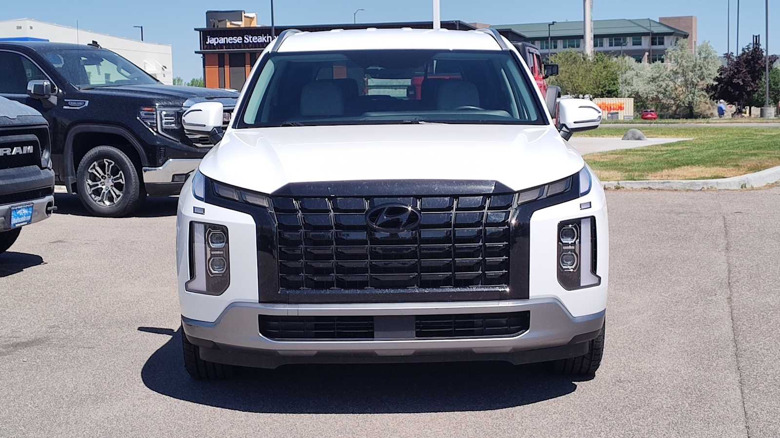 Thumbnail: 2025 Hyundai Palisade - 6