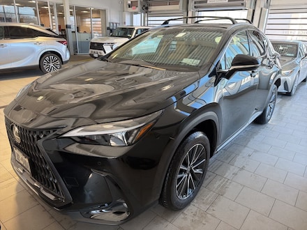 2025 LEXUS NX 350 Premium SUV