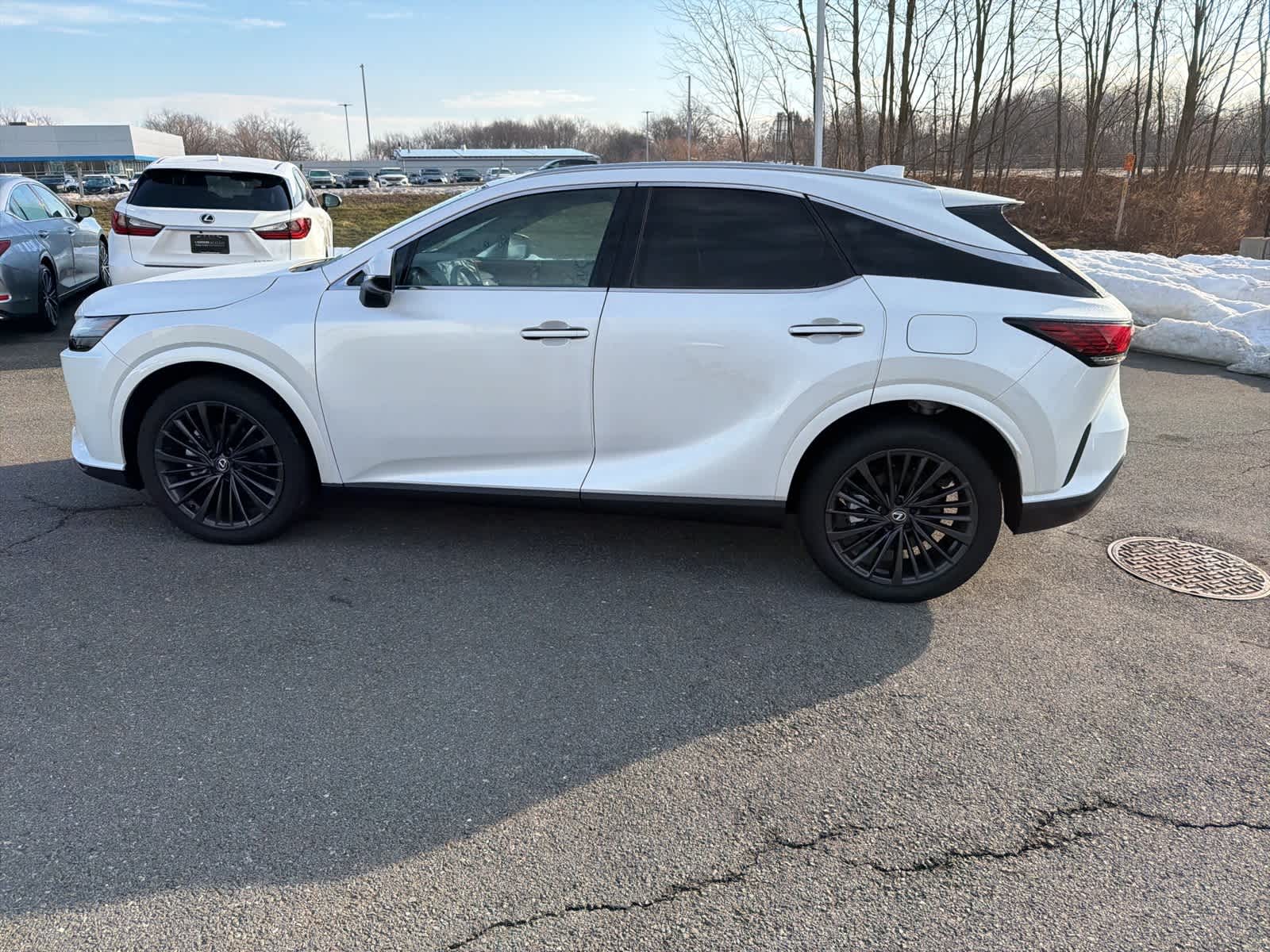 Thumbnail: 2025 Lexus RX - 5