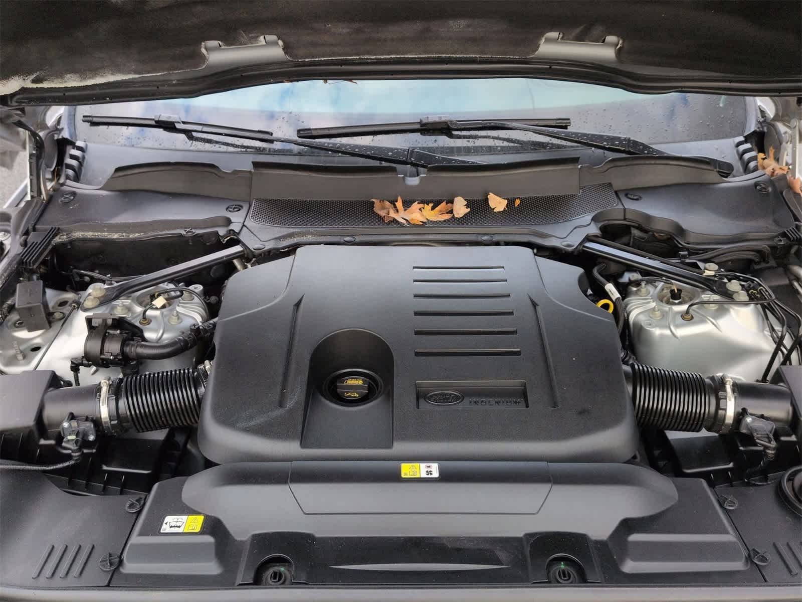 Thumbnail: 2019 Land Rover Range Rover Sport - 15