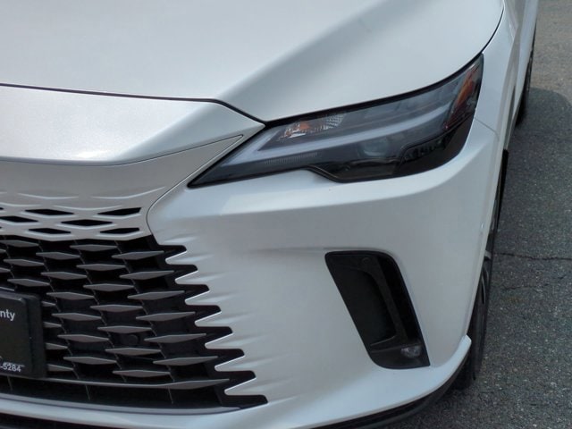 2025 Lexus RX 350 Premium+ 11