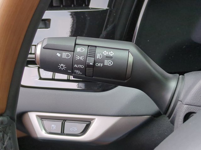 2025 Lexus RX 350 Premium+ 29