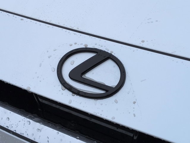 2026 Lexus TX 350 Premium - Photo 12