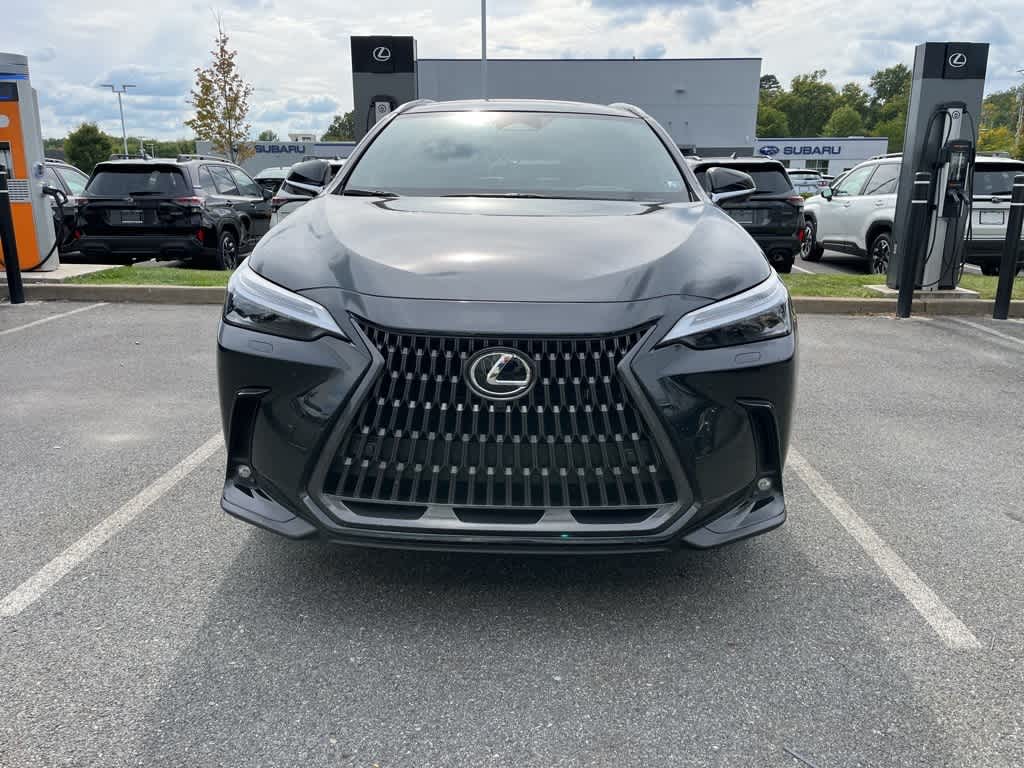 2025 Lexus NX 450h+ Luxury photo 2