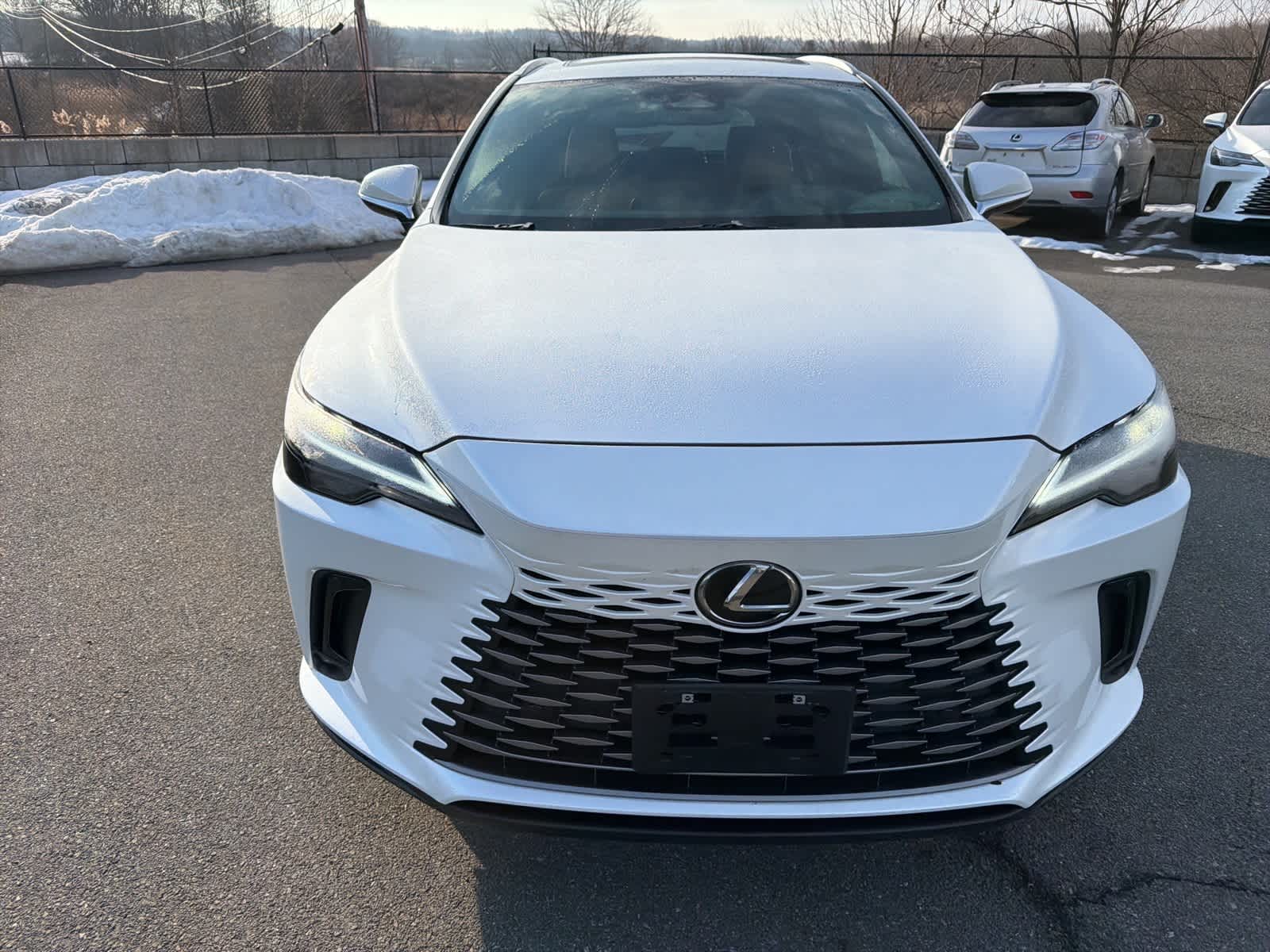 Thumbnail: 2025 Lexus RX - 16