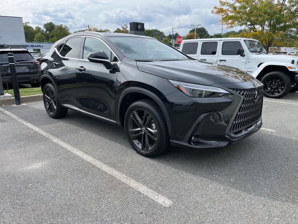 2025 Lexus NX 450h+ Luxury photo 3