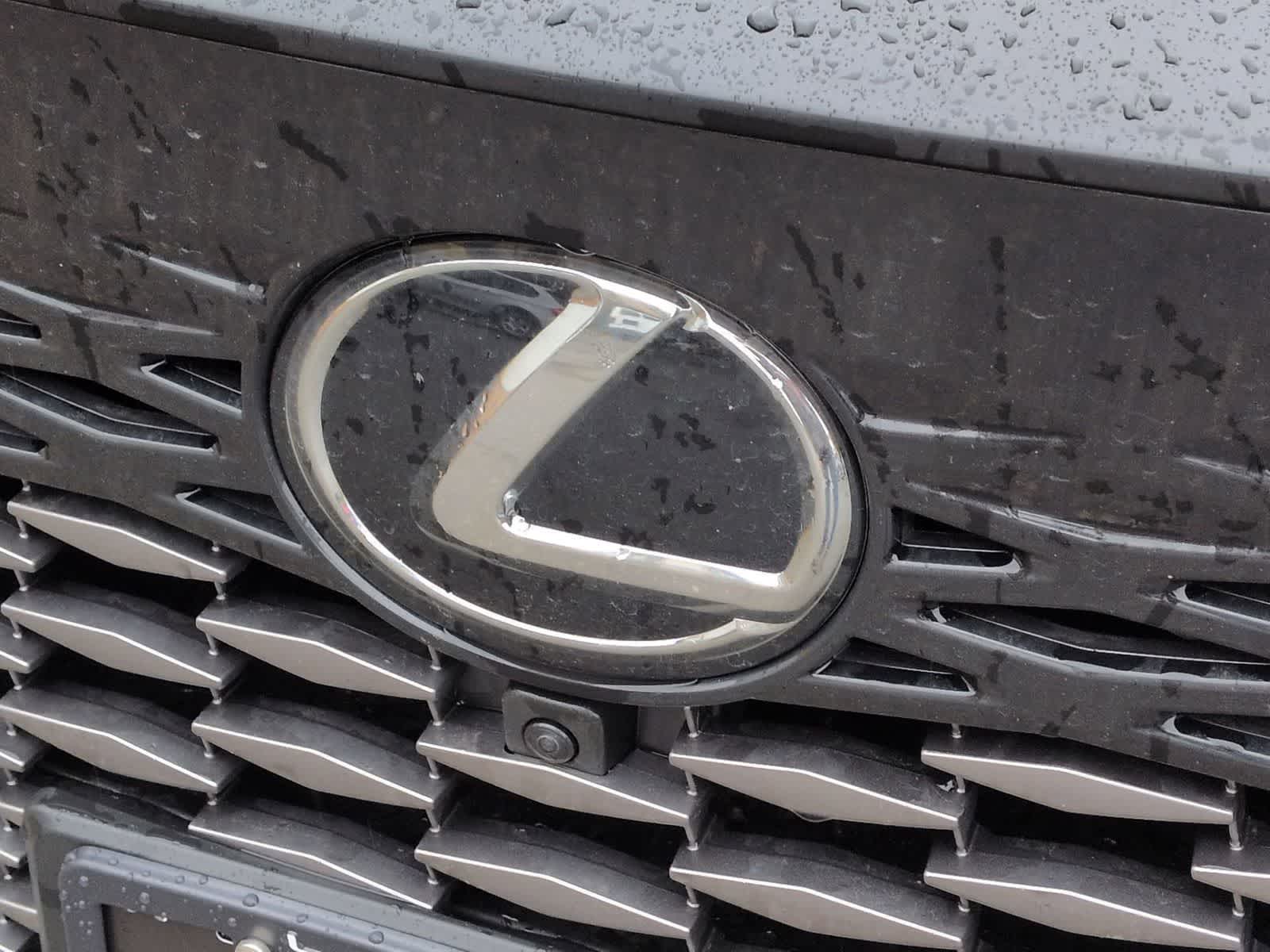 Thumbnail: 2025 Lexus RX - 12