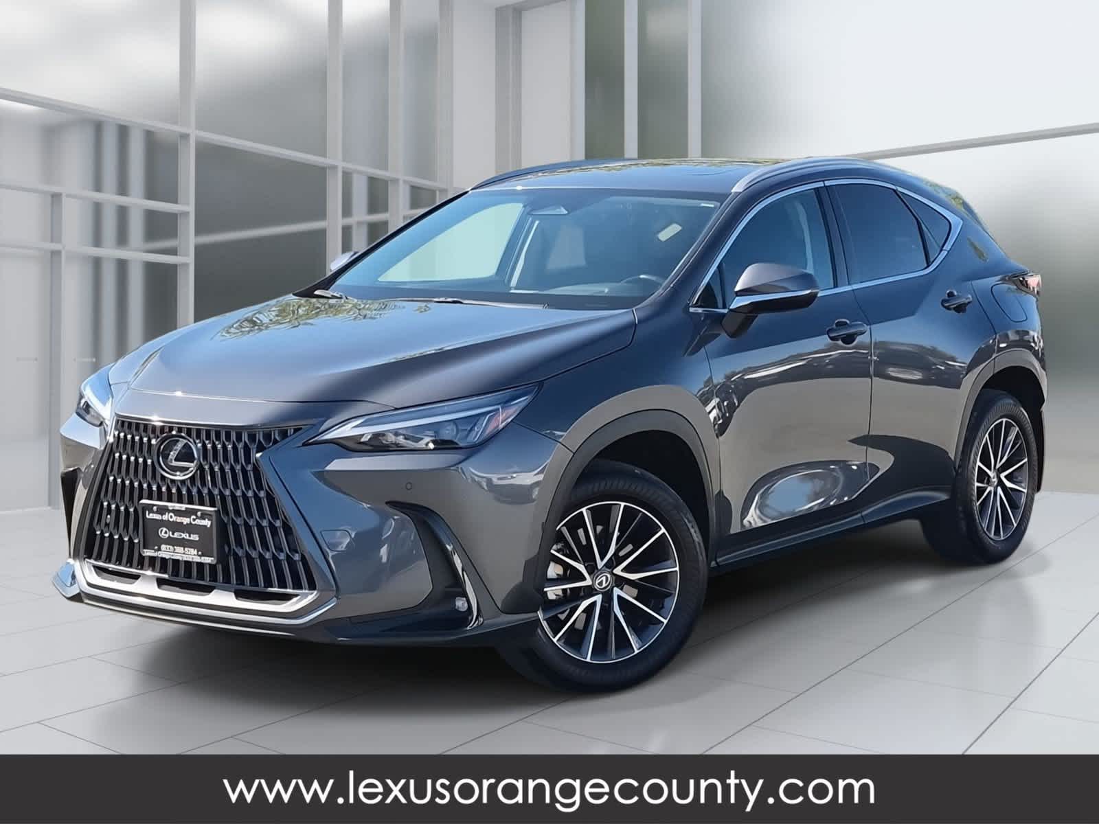 2025 Lexus NX