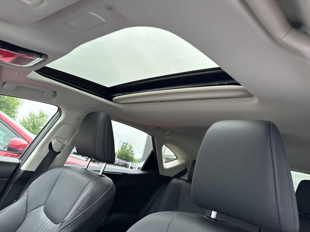 2022 Lexus NX  6