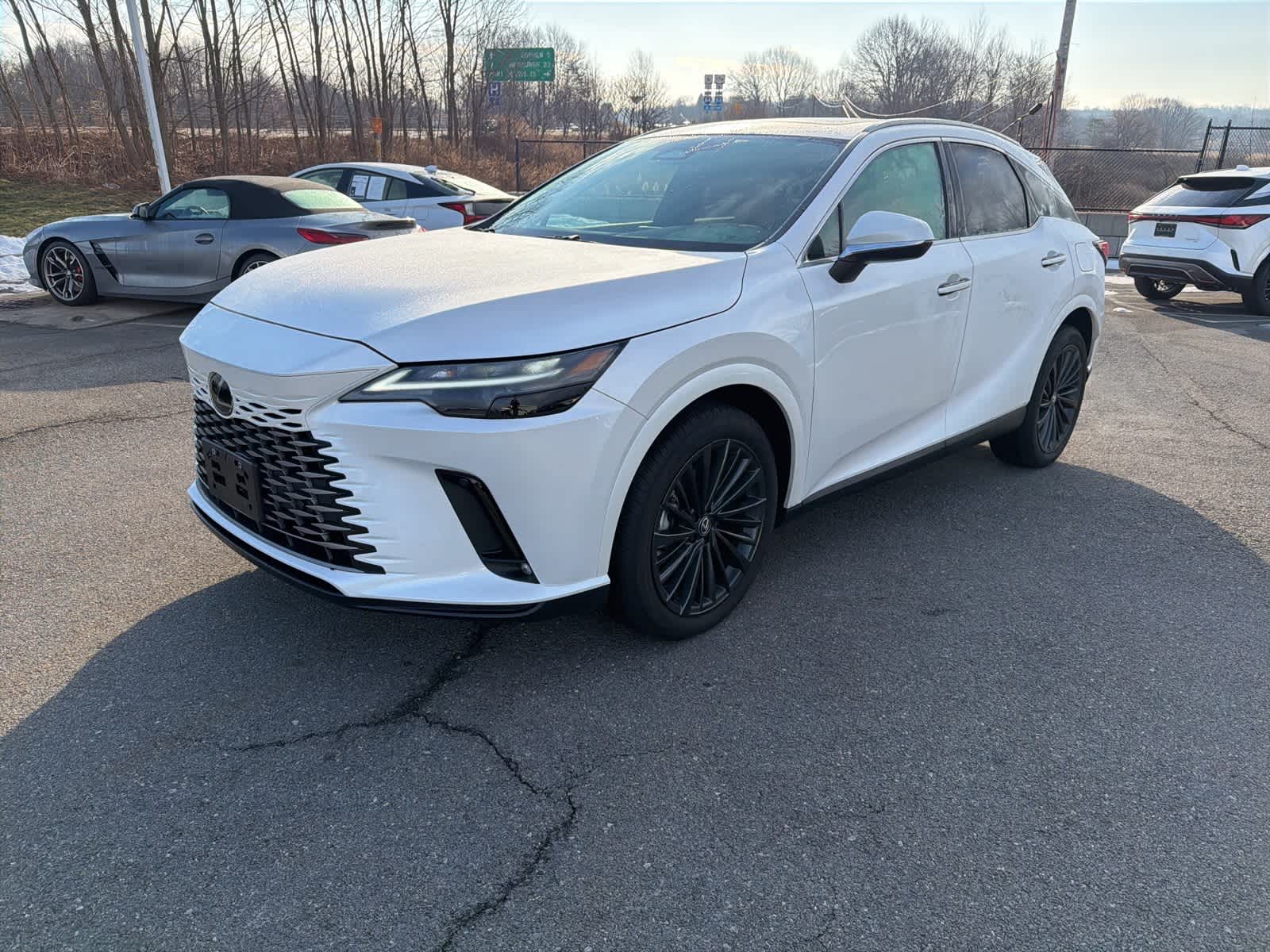 2025 Lexus RX 350's photo