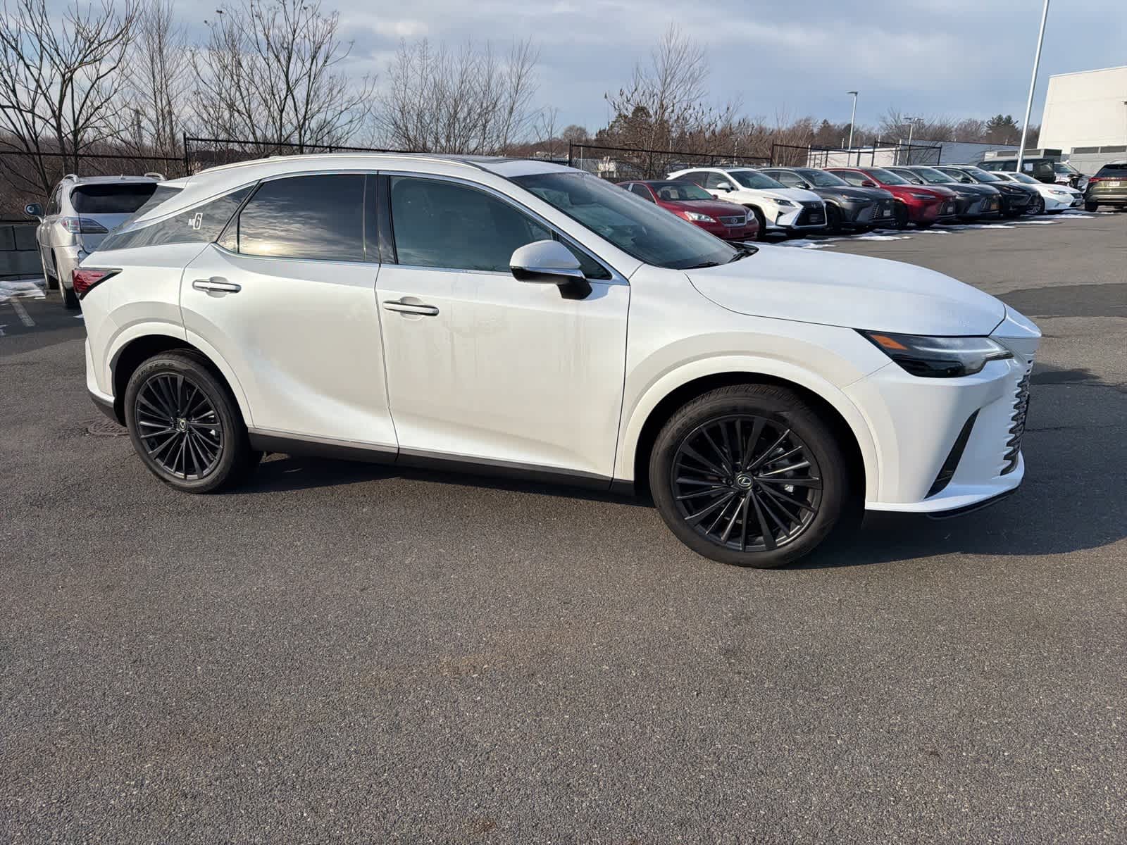 Thumbnail: 2025 Lexus RX - 13