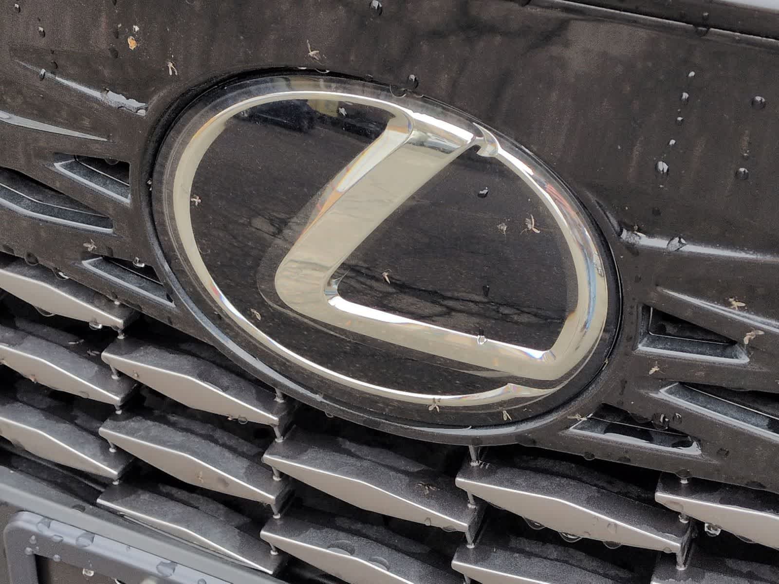 Thumbnail: 2024 Lexus RX - 12