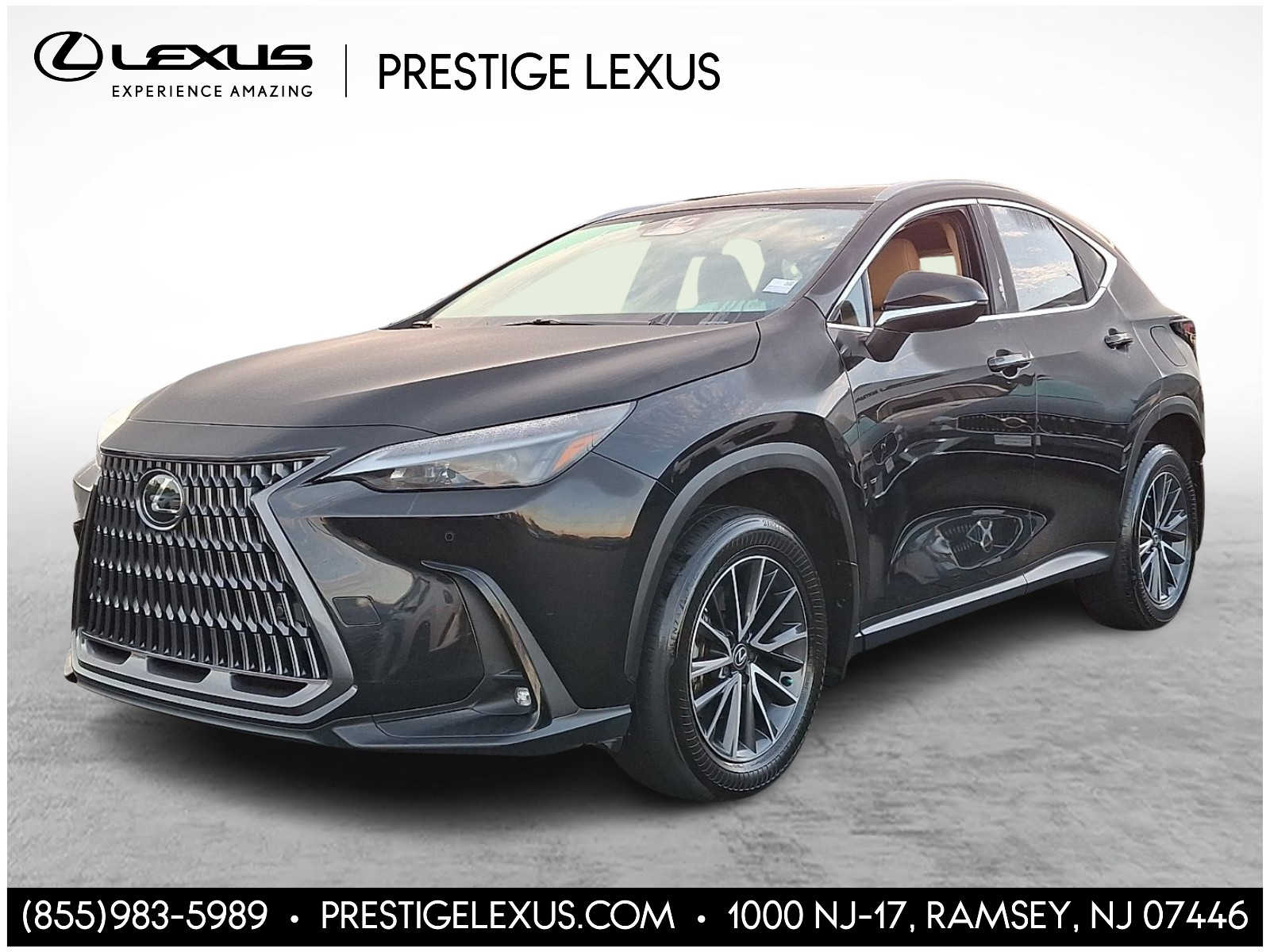 2024 Lexus NX