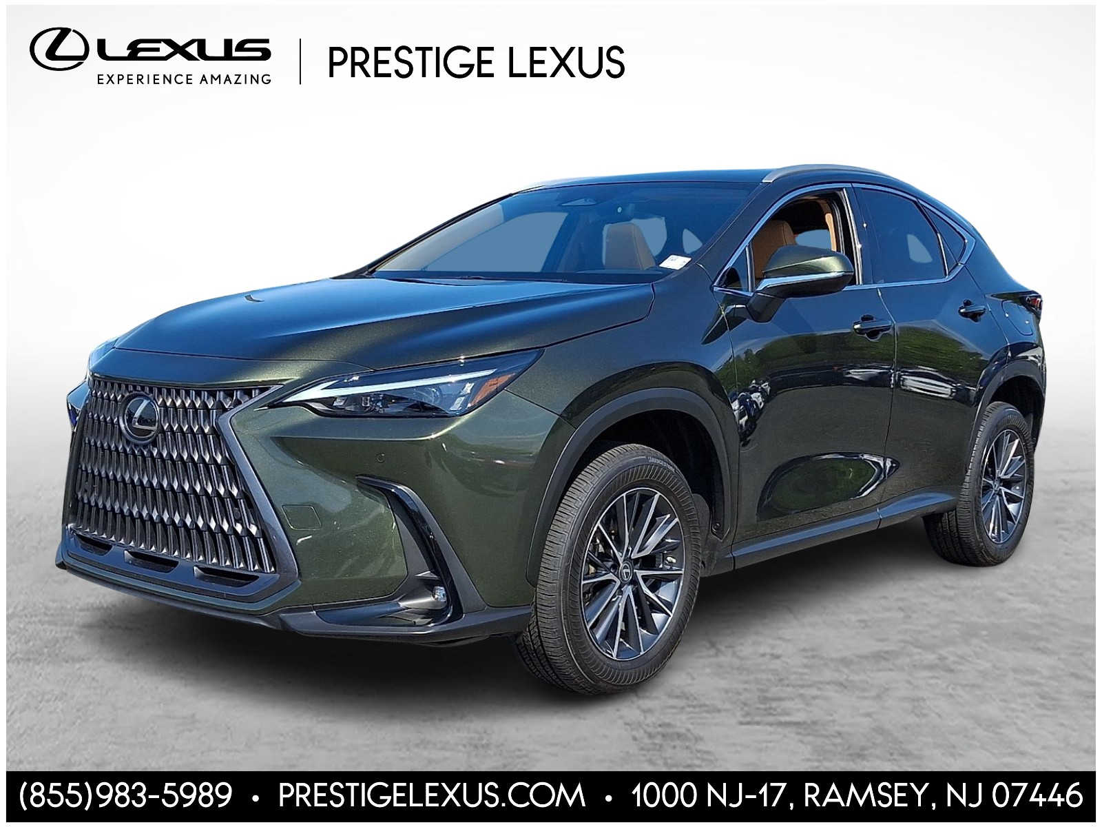 Thumbnail: 2023 Lexus NX - 1