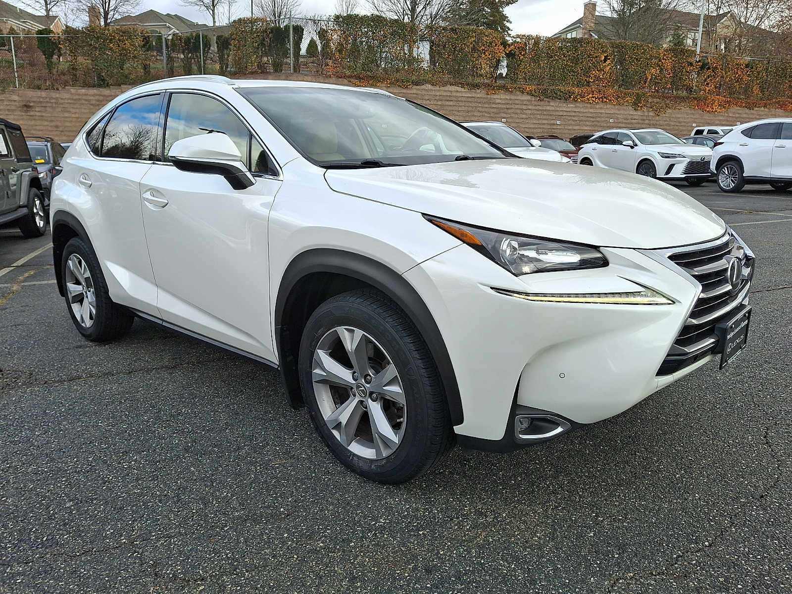 2017 Lexus NX 200t Luxury photo 3