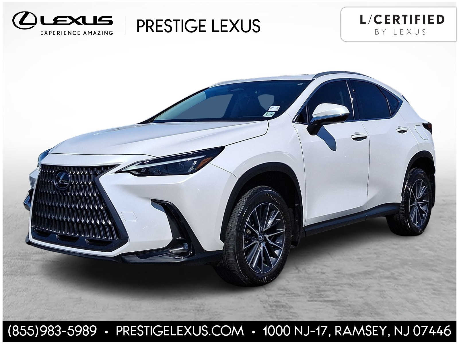 Thumbnail: 2024 Lexus NX - 1