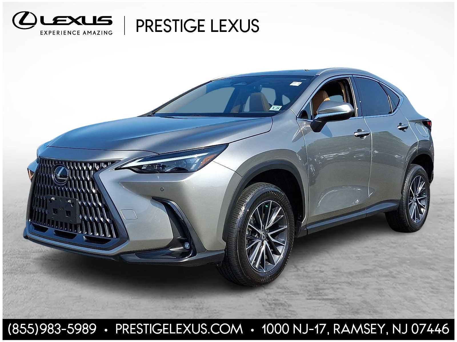 Thumbnail: 2024 Lexus NX - 1