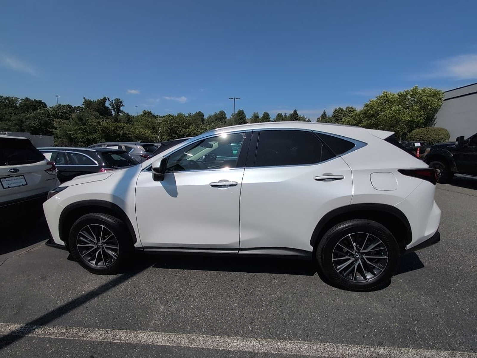 Thumbnail: 2024 Lexus NX - 2