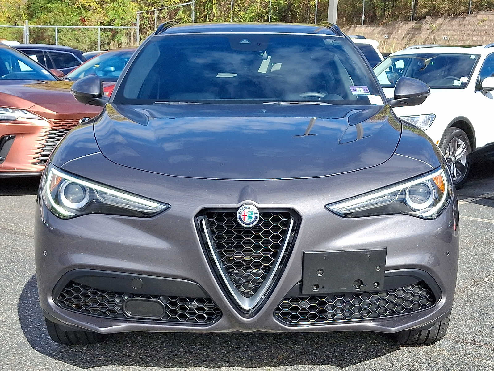 Thumbnail: 2019 Alfa Romeo Stelvio - 2